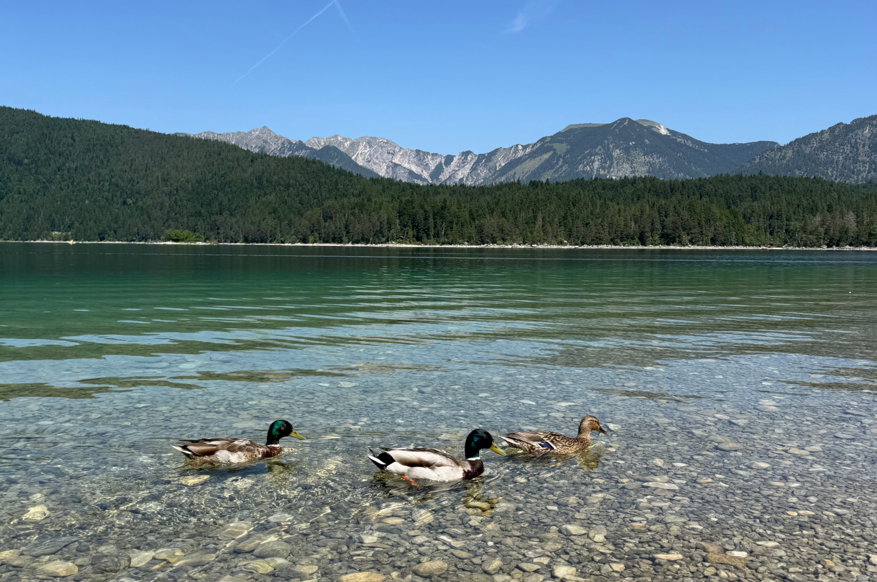 Lago Eibsee