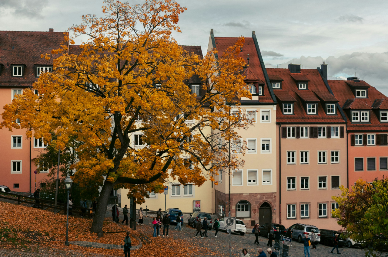 Autumn in Nuremberg with colorful leaves